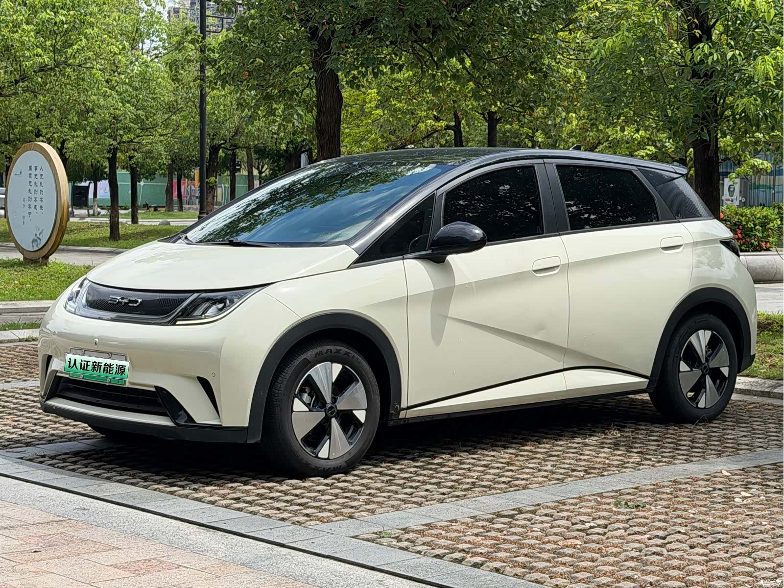 BYD Dolphin, 2024 1
