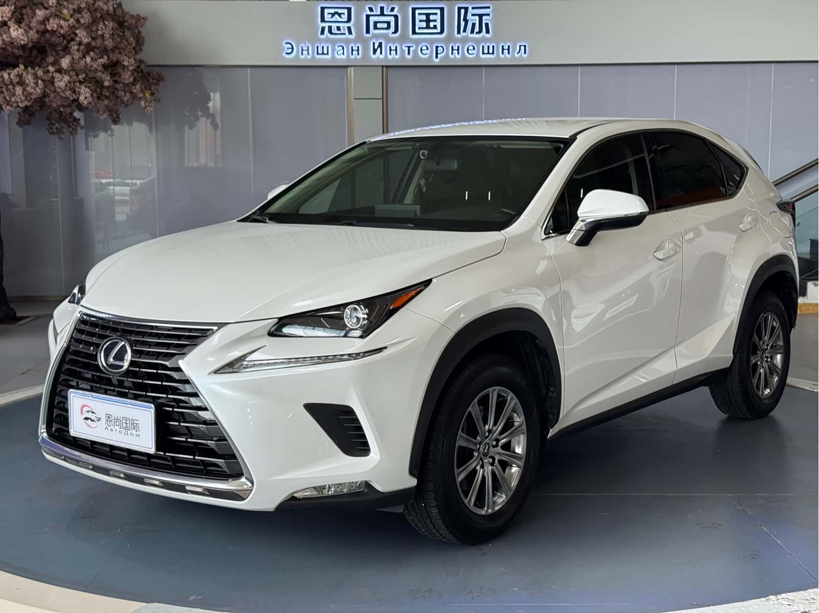 Lexus NX, 2021 1