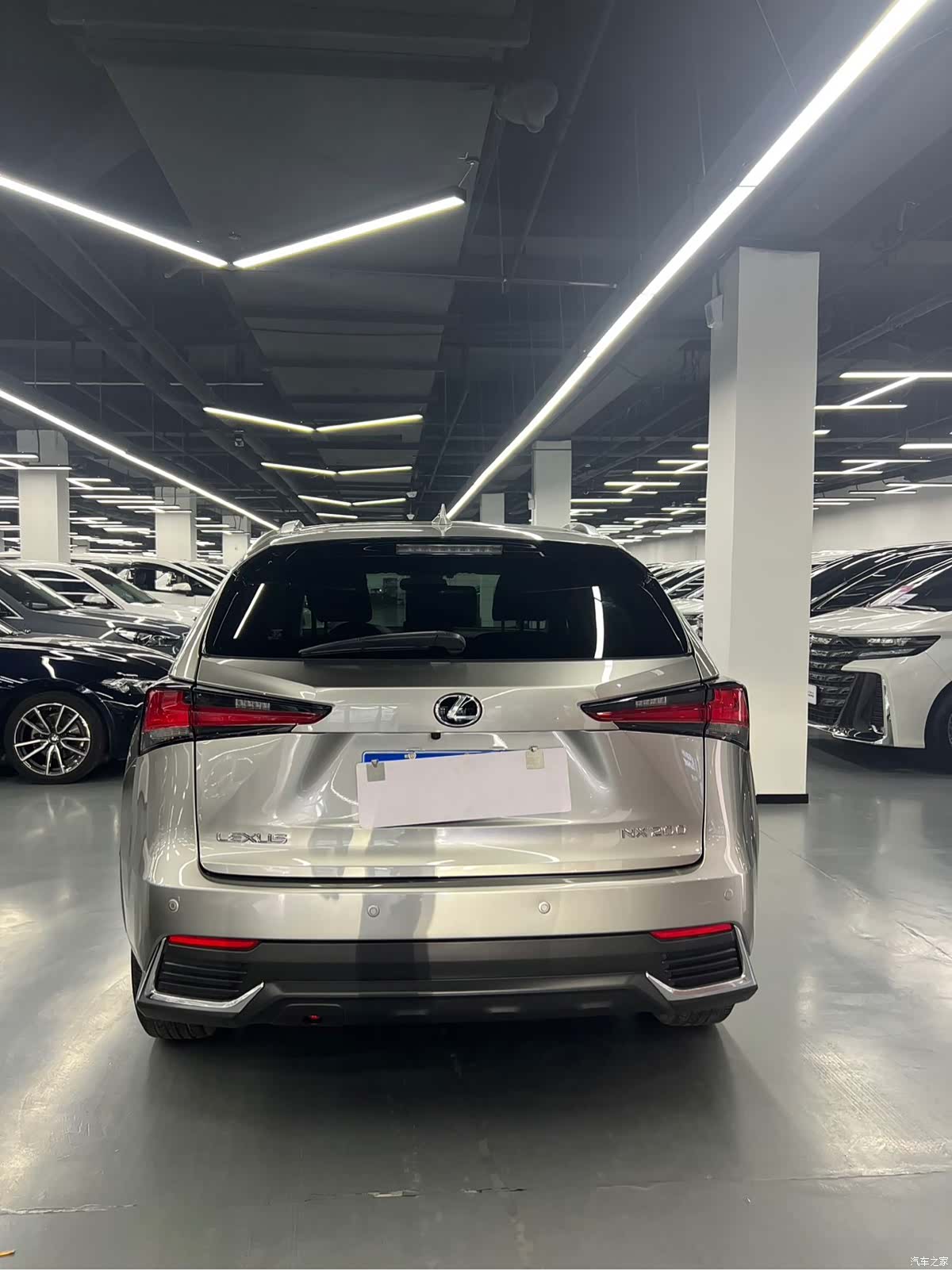 Lexus NX, 2021 все фото