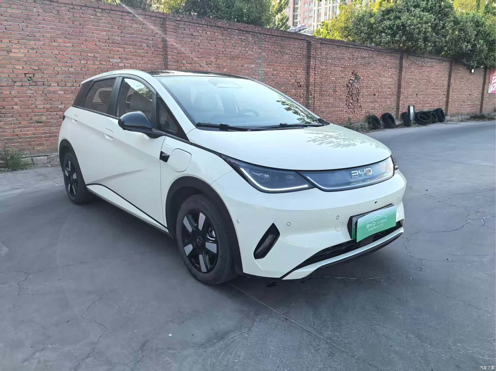 BYD Dolphin, 2025 3