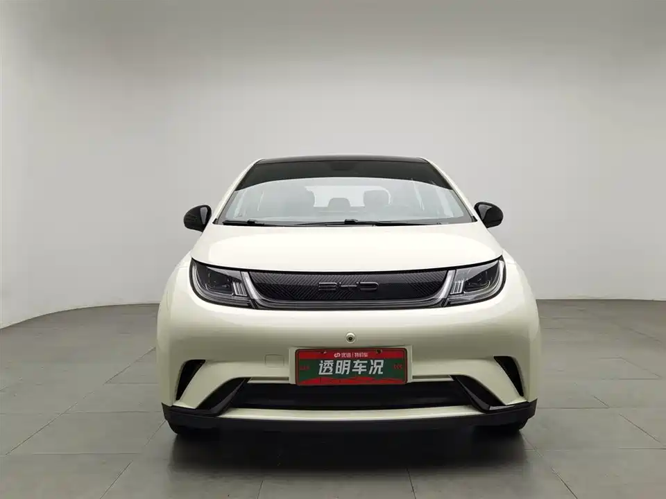 BYD dolphin