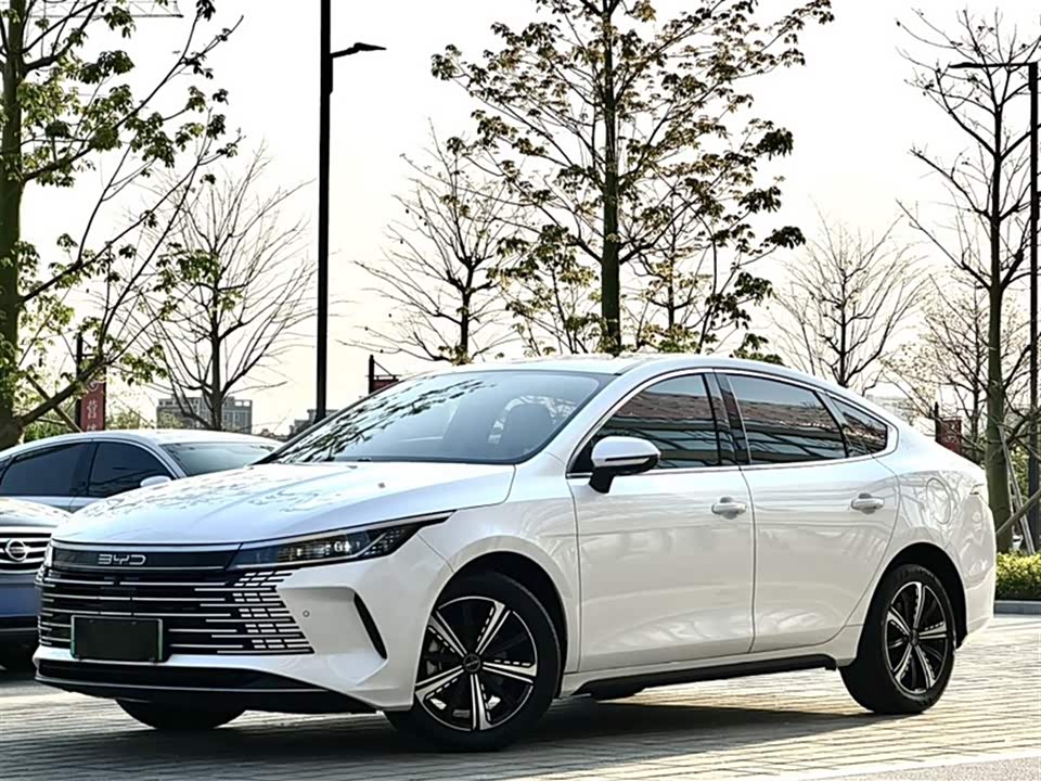BYD Destroyer 05 BYD Destroyer 05
