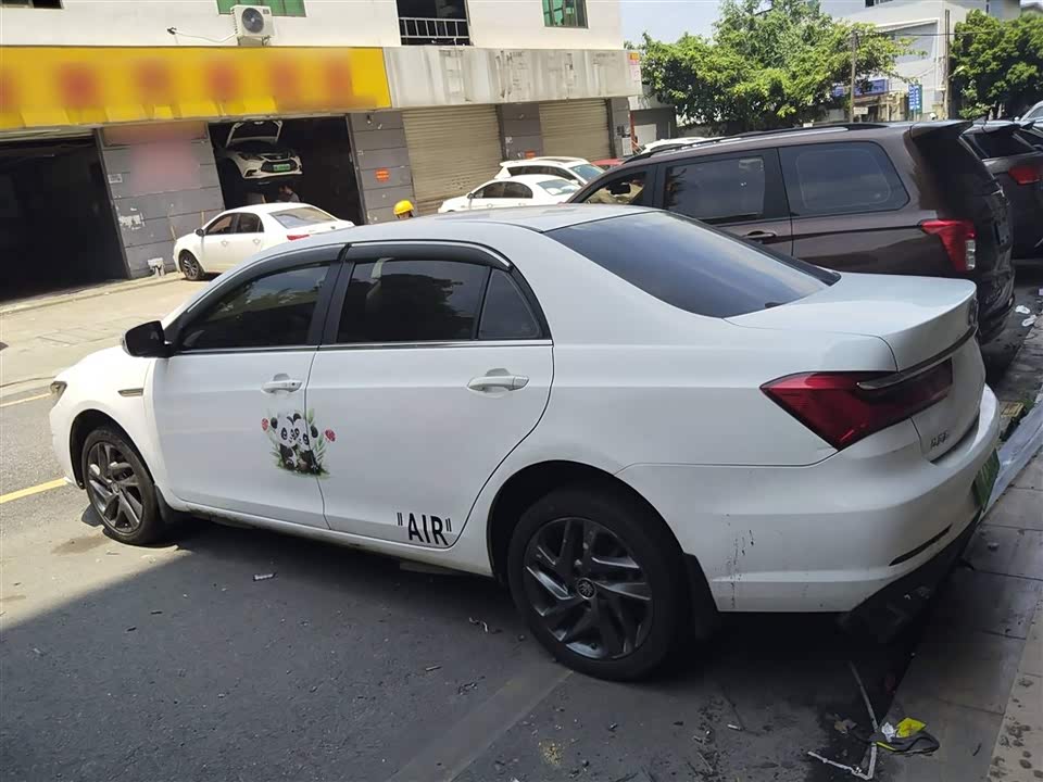 BYD Qinxin Energy