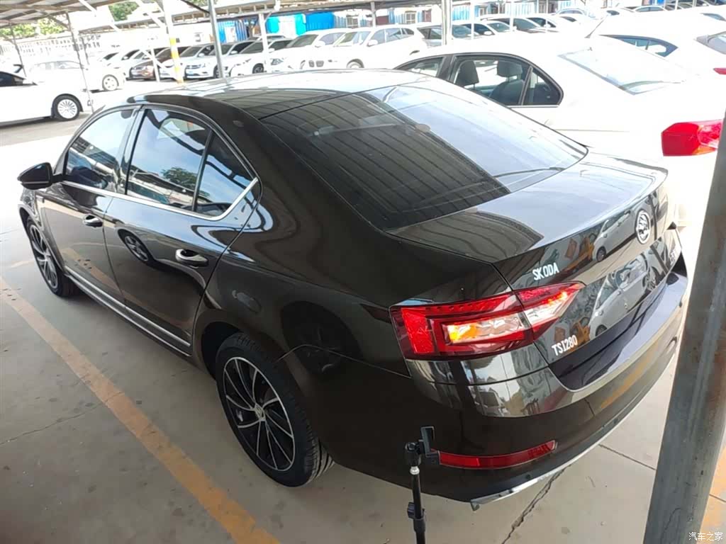 Skoda Octavia, 2018 все фото