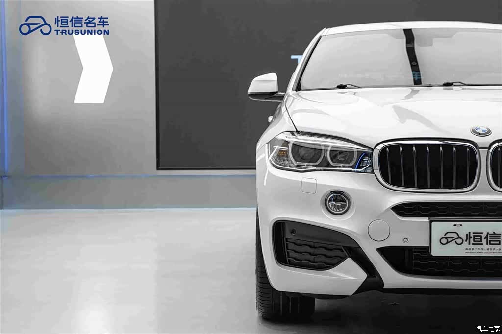 BMW X6, 2019 8