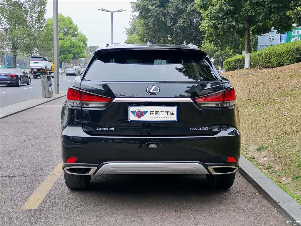 Lexus RX, 2021 все фото