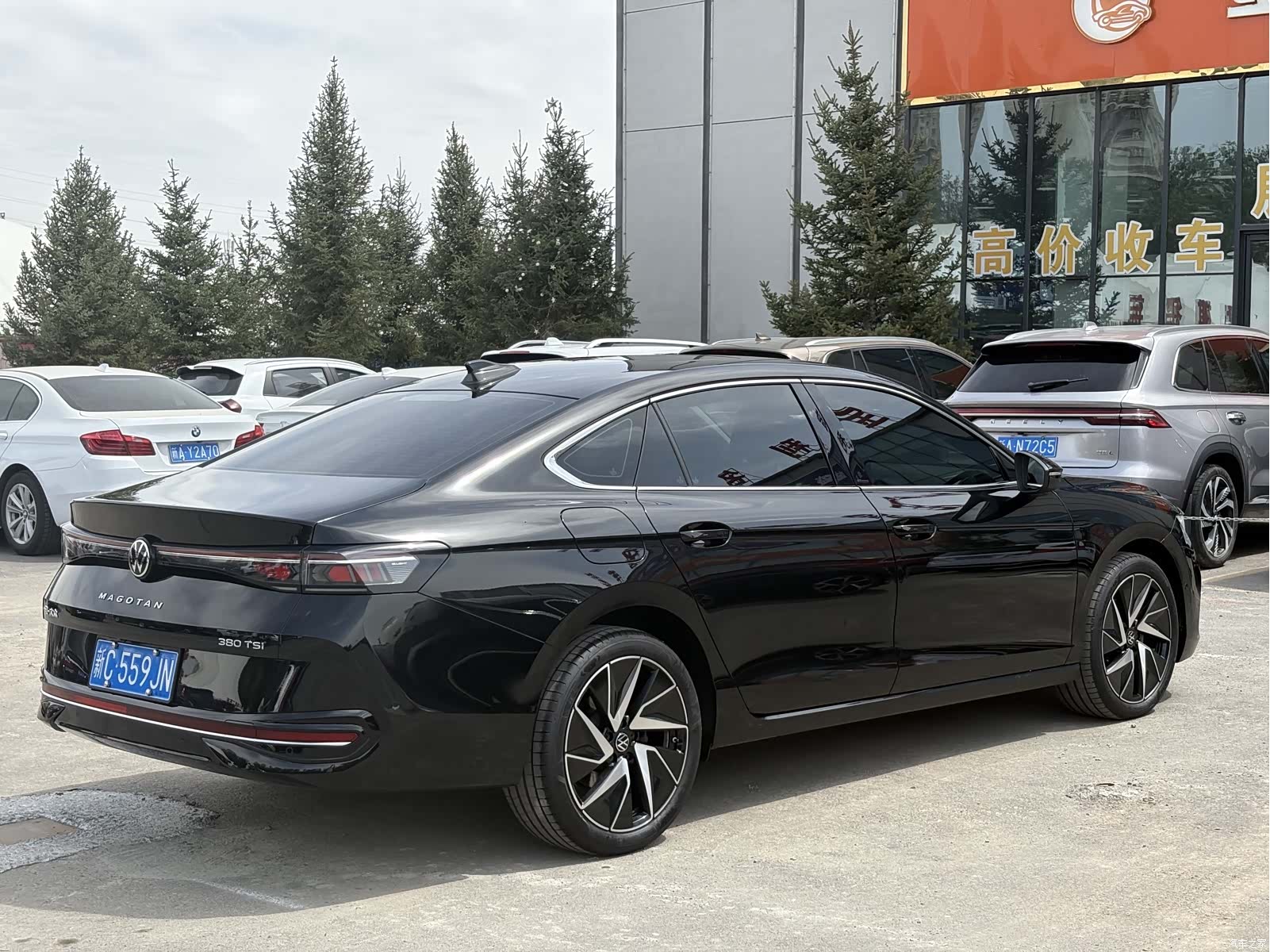 Volkswagen Magotan, 2025 все фото