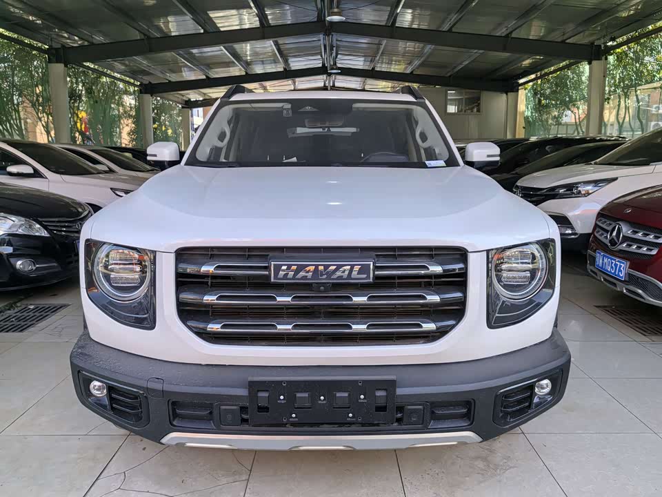 Haval Big dog