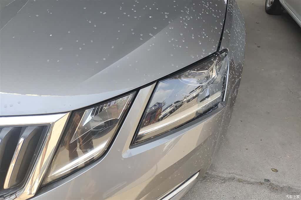 Skoda Octavia, 2018 все фото