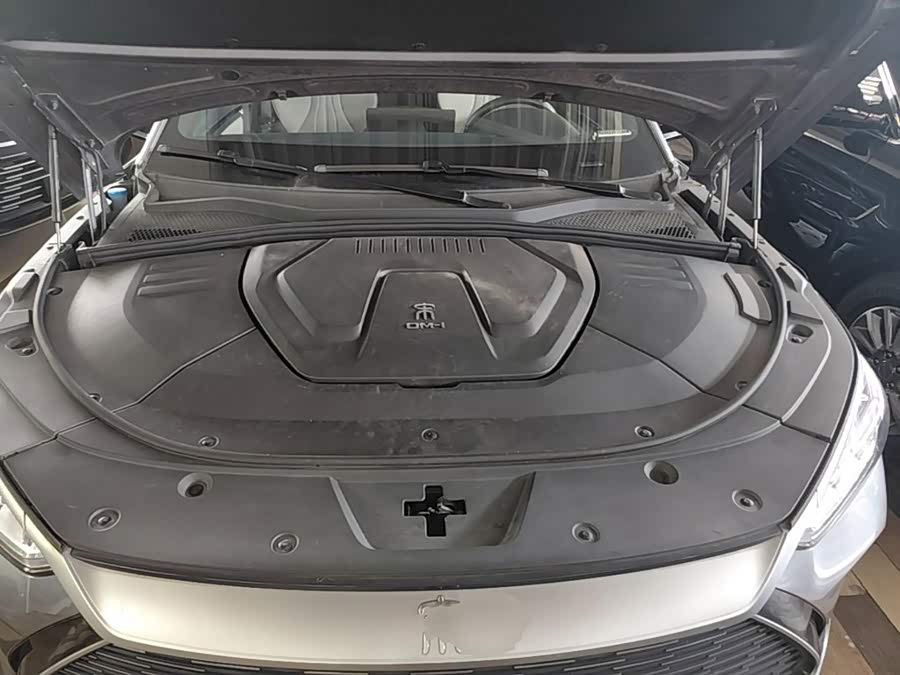 BYD Song PLUS New Energy 2022, фото 20
