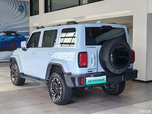 Tank 300, 2024 8