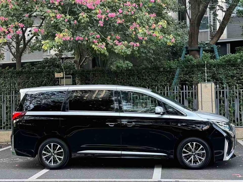 Trumpchi Trumpchi M8