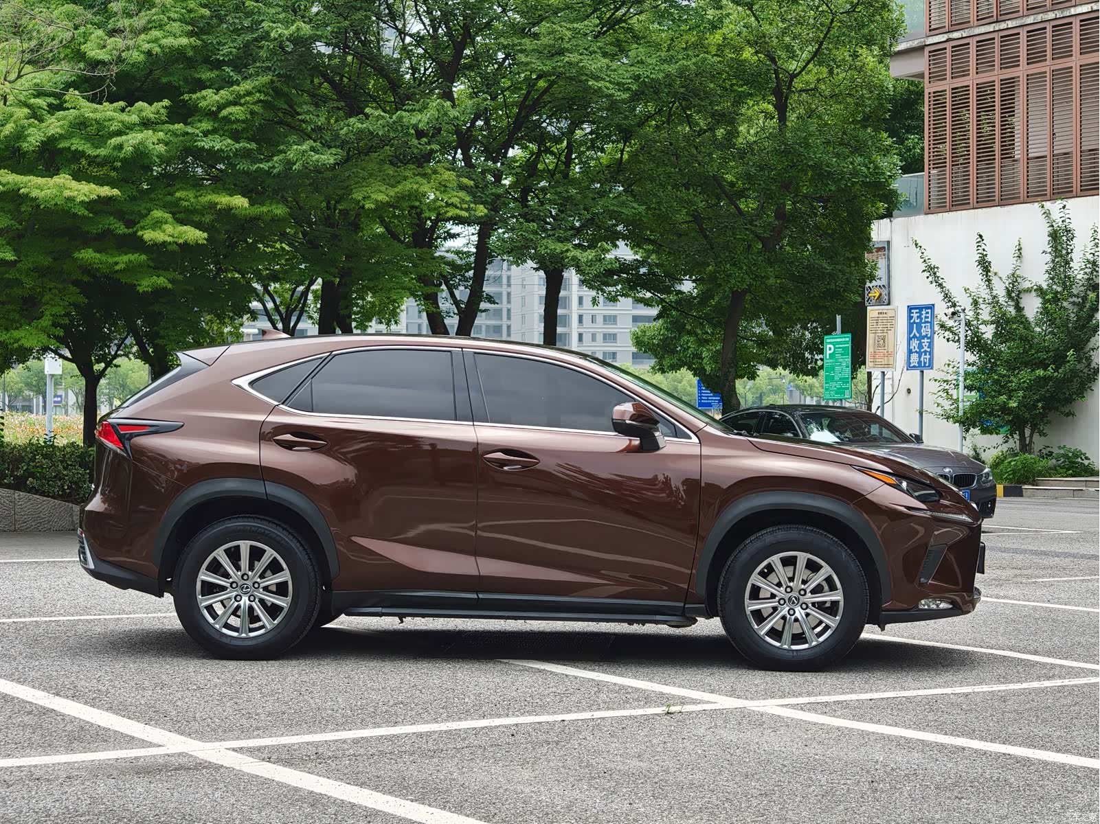 Lexus NX, 2019 8