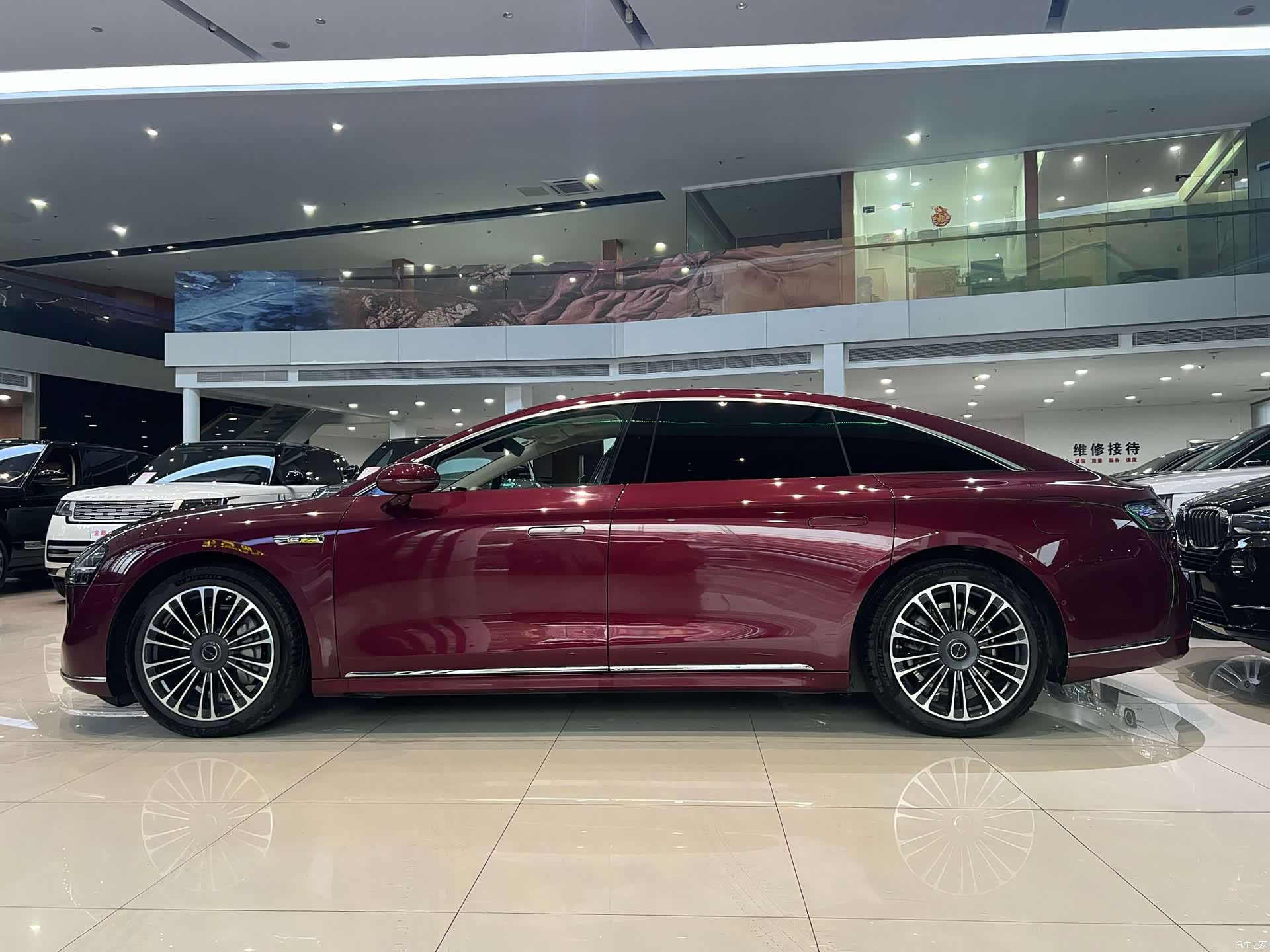 Stelato S9, 2024 6