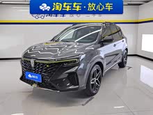 ����RX5 2021�� PLUS 330TGI �Զ����������