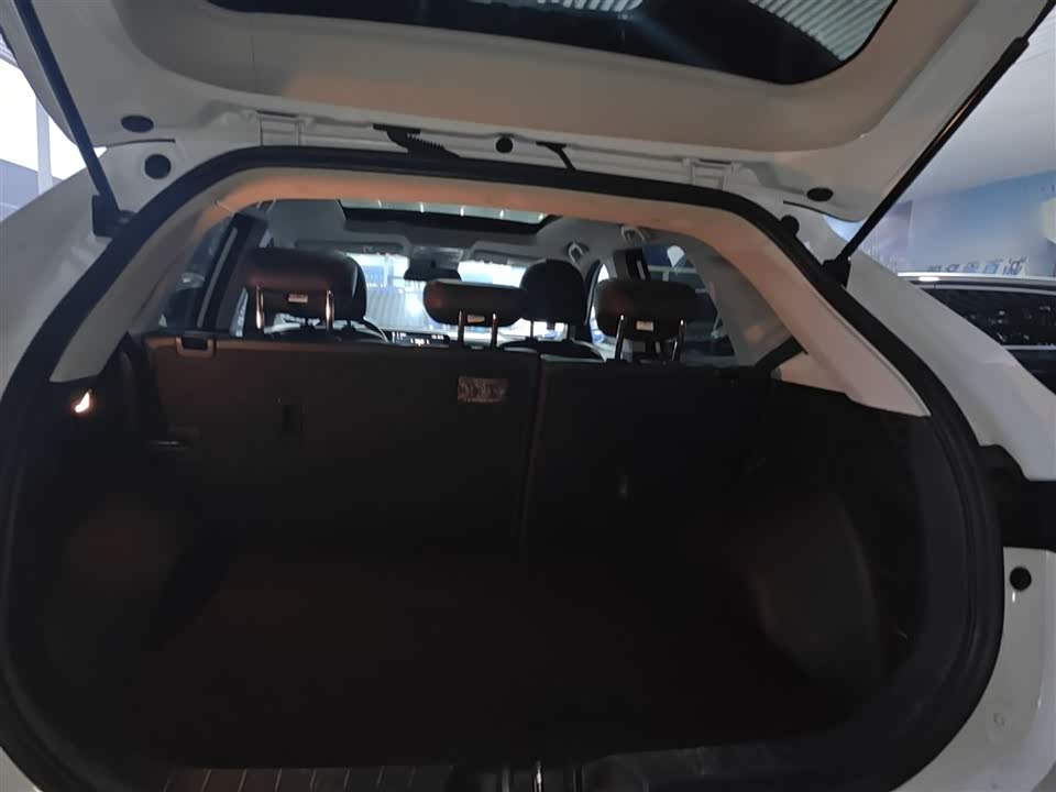 Forthing Popular T5 EVO