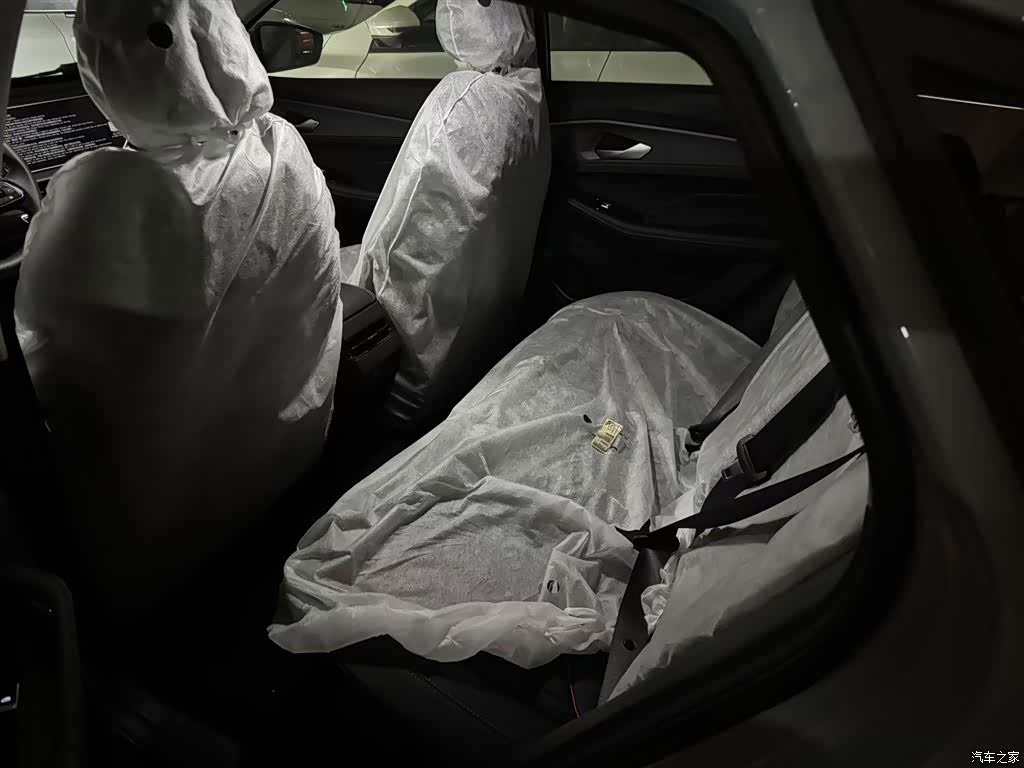 Geely Binray, 2024 6