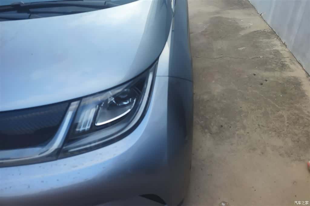 BYD Dolphin, 2023 все фото