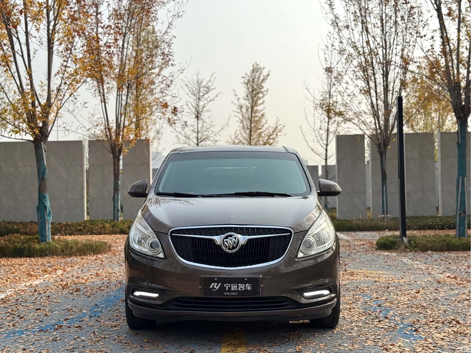 Buick GL8, 2017 2