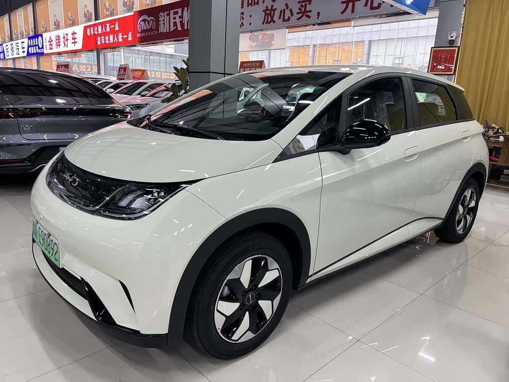 BYD Dolphin