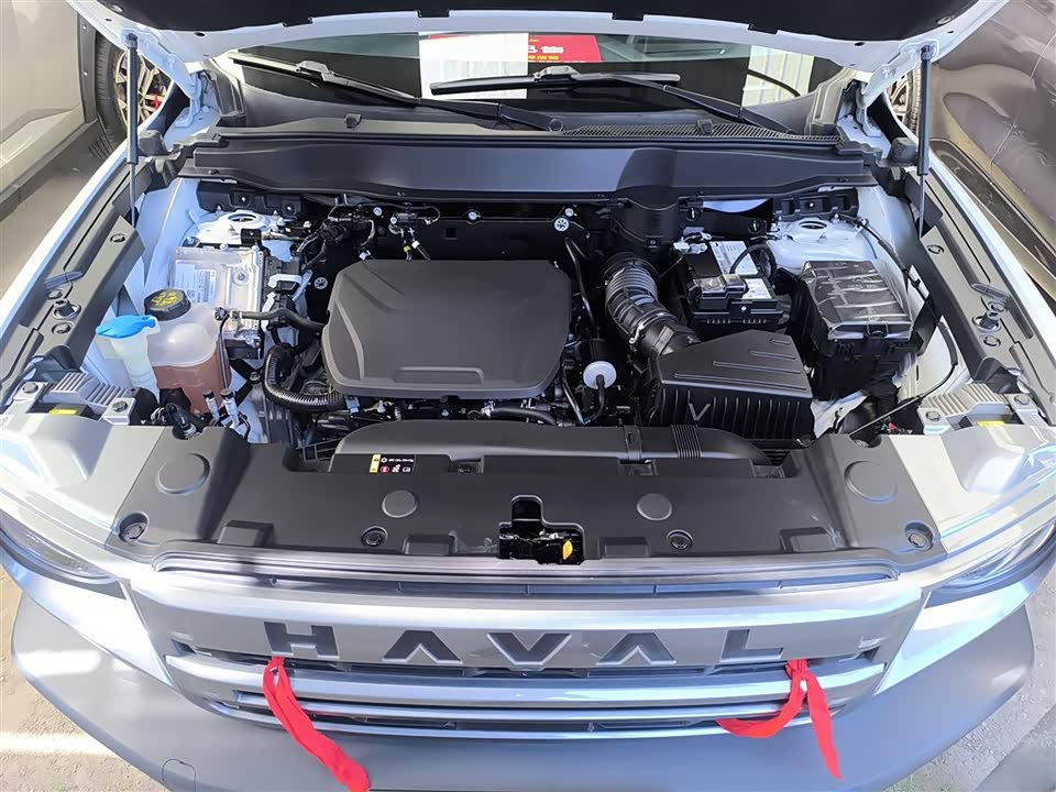 Haval Big dog