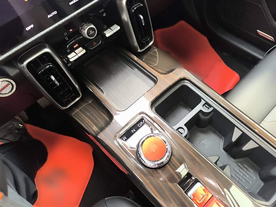 Haval Big dog