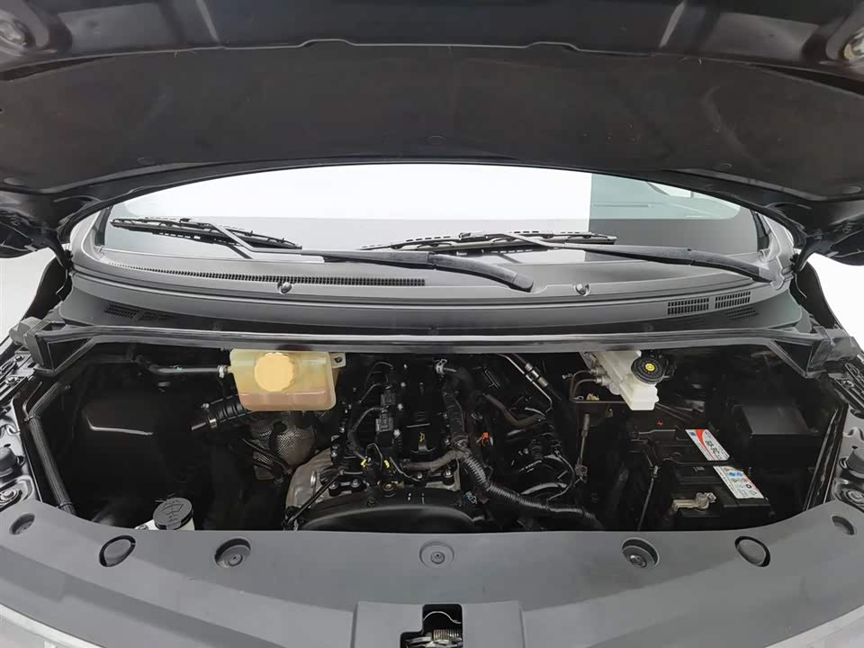 Forthing Lingzhi PLUS