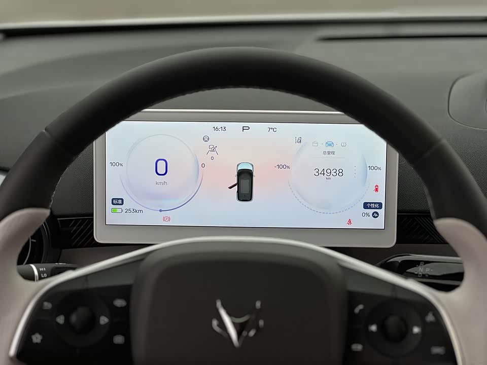 ARCFOX Polar fox koala