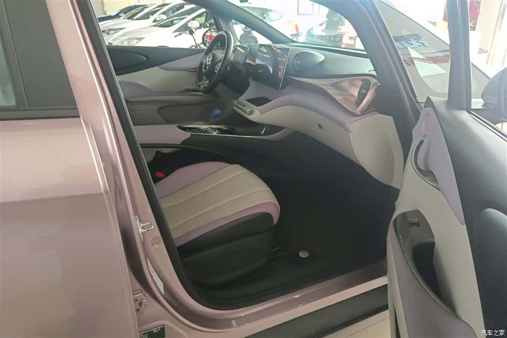BYD Dolphin, 2022 8