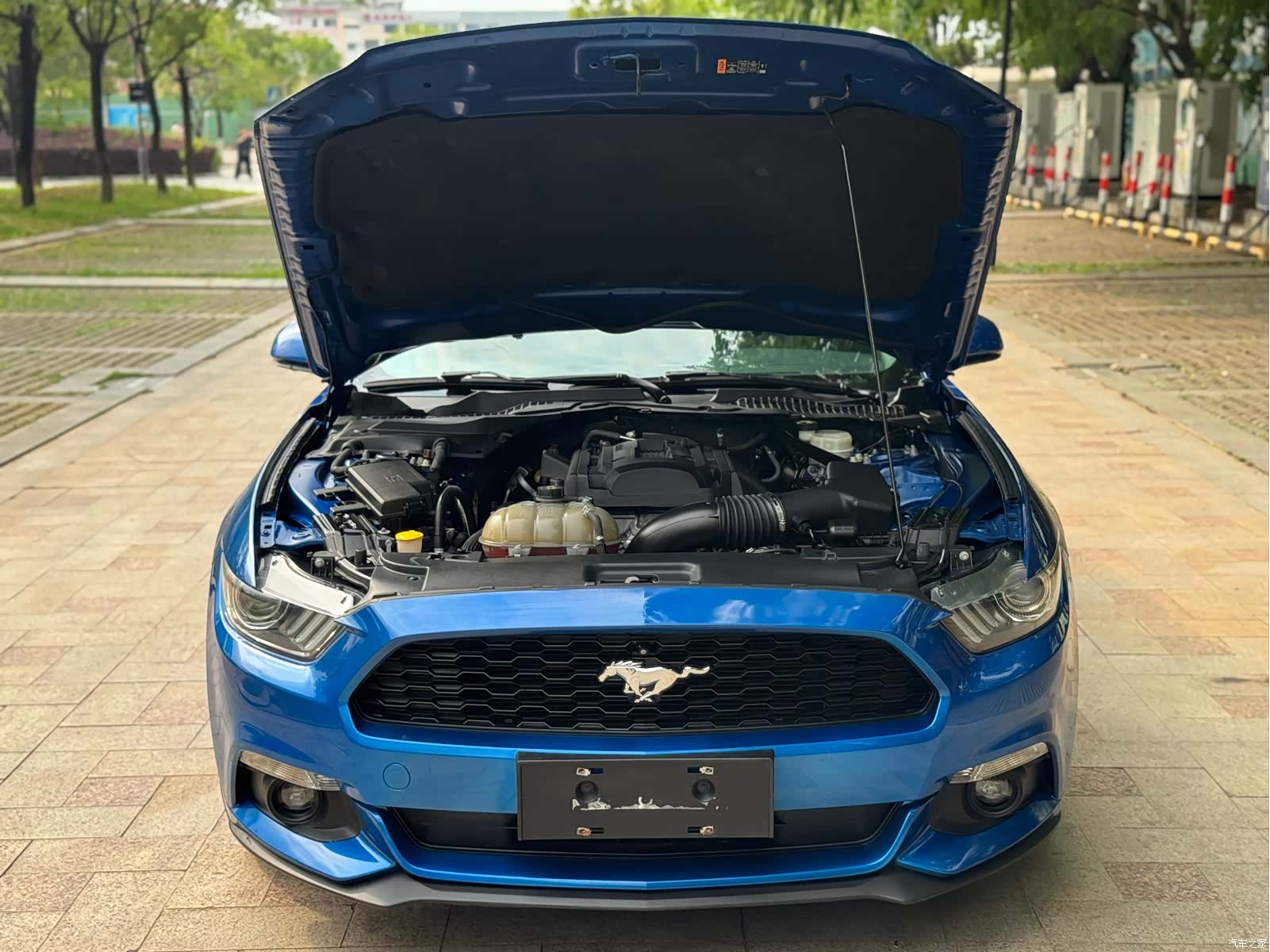 Ford Mustang, 2018 18