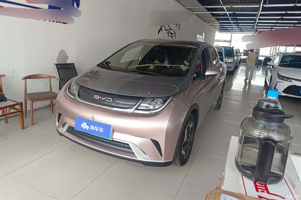 BYD Dolphin, 2022 1