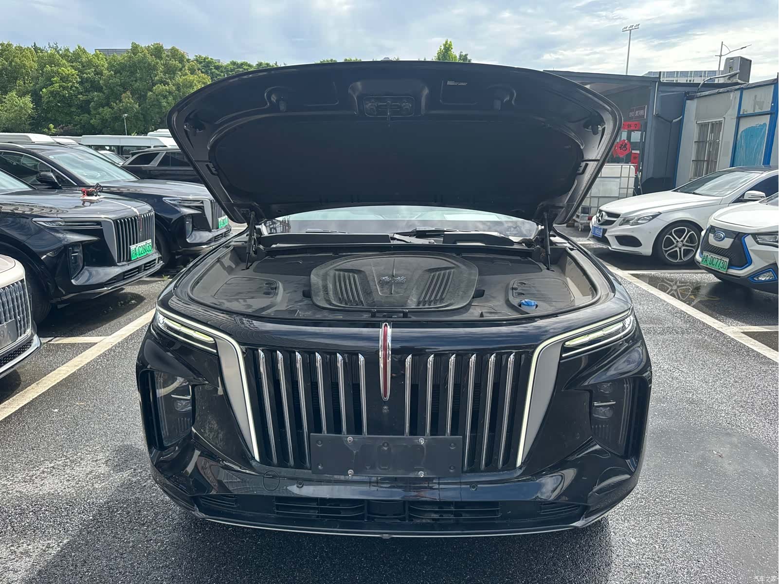 Hongqi E-HS9, 2023 10