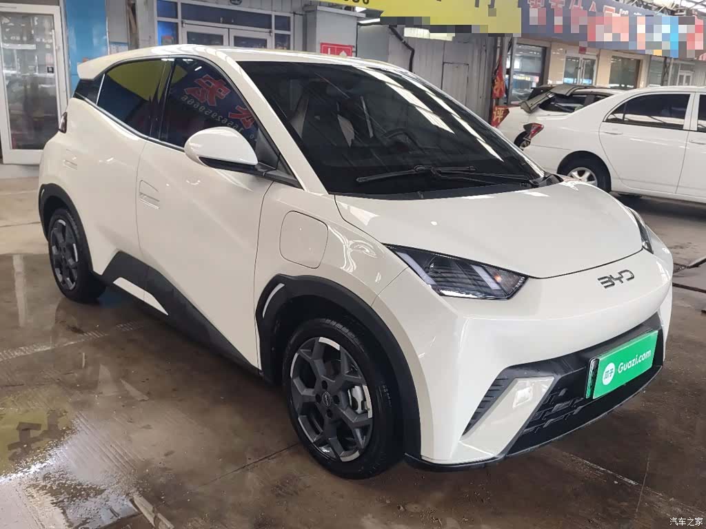 BYD Seagull, 2025 4