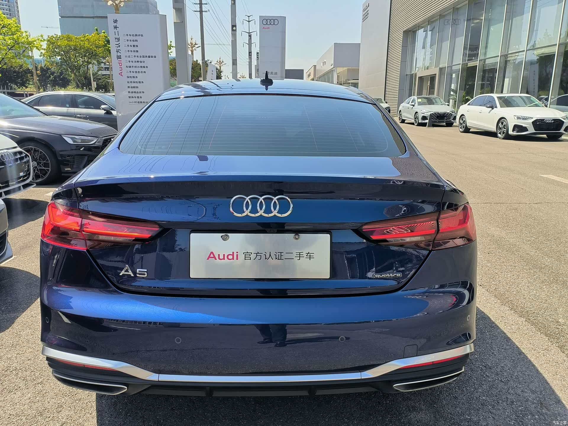 Audi A5, 2023 все фото