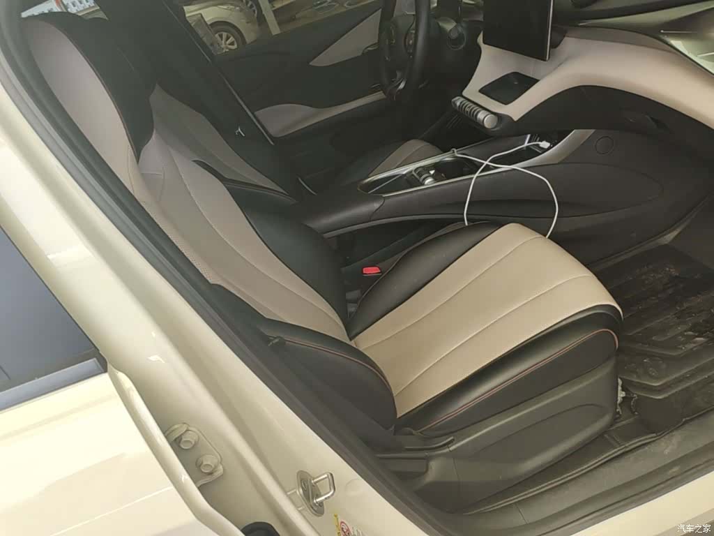 BYD Dolphin, 2024 25