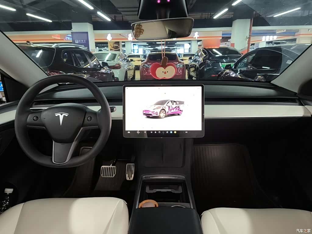 Tesla Model Y, 2023 10