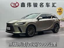 �׿���˹RX 2023�� 350h ����������