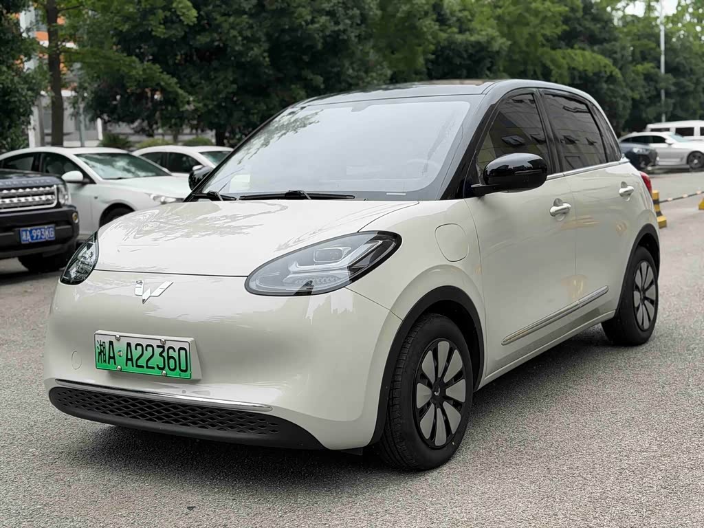 Wuling Binguo