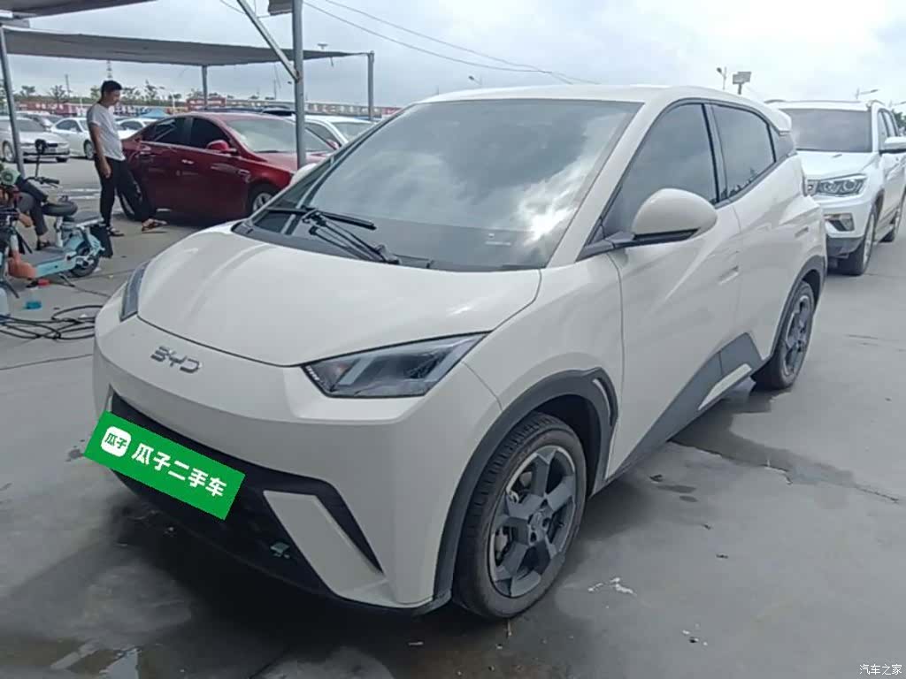 BYD Seagull, 2024 1