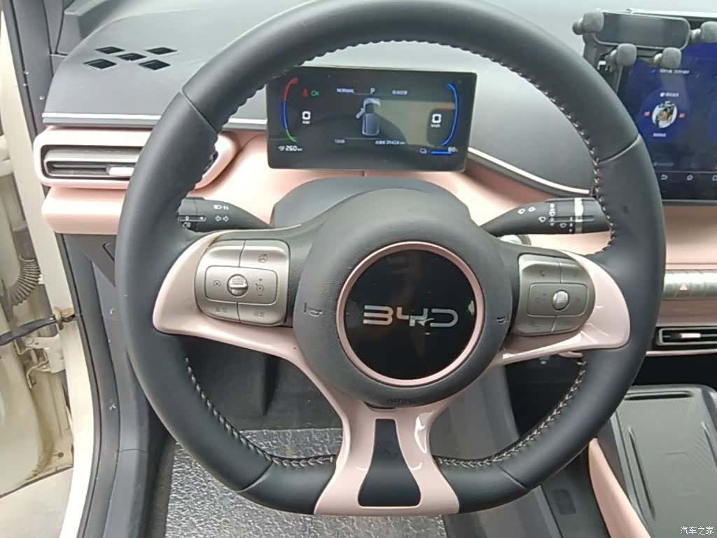 BYD Seagull, 2024 11