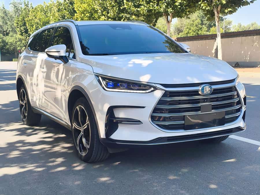 BYD Tang New Energy 2022, фото 2