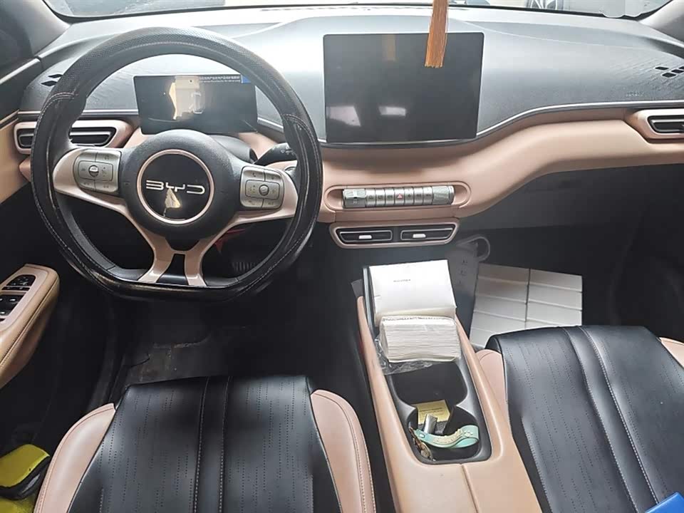 BYD Seagull