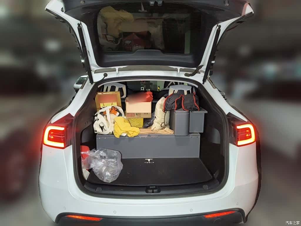 Tesla Model Y, 2021 10