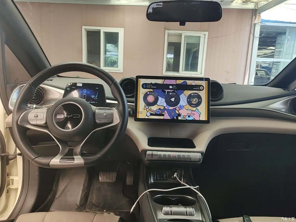 BYD Dolphin, 2024 10