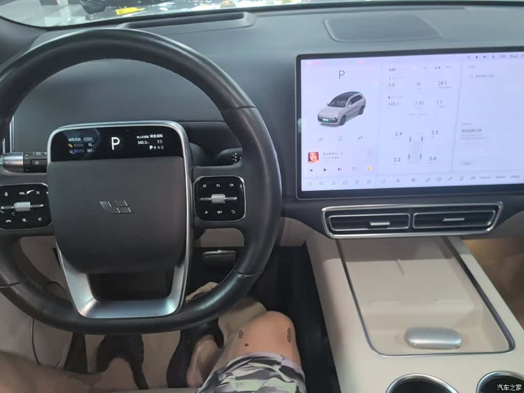 Li Auto L8, 2023 10