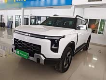 ֣���ղ�Z9 GE PHEV 2025�� 135KM ����������