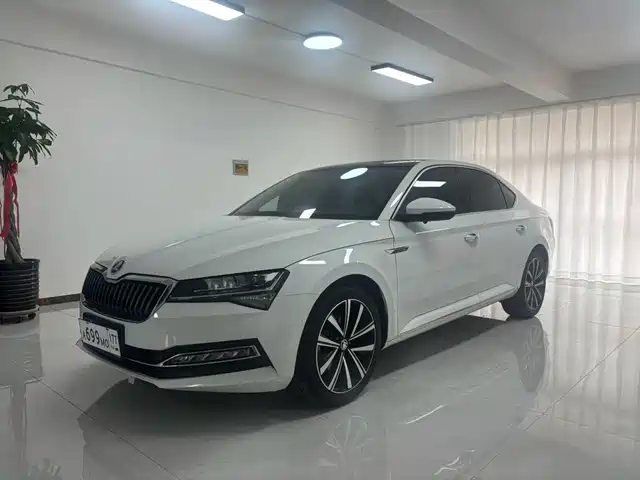 Škoda Speed pie 2023 — купить из Китая под заказ