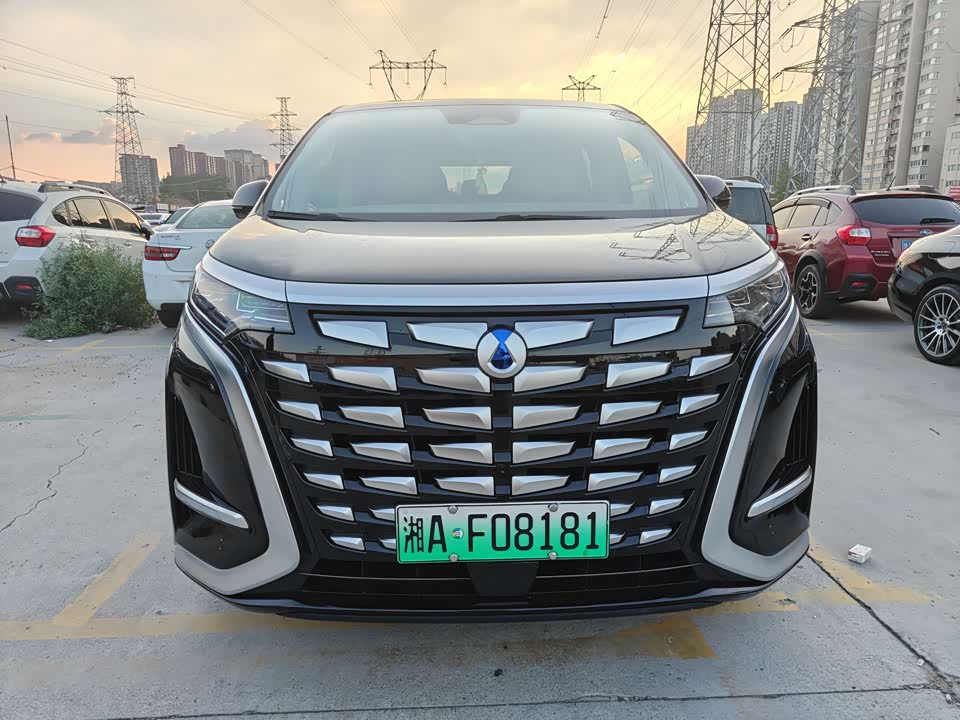 Denza D9