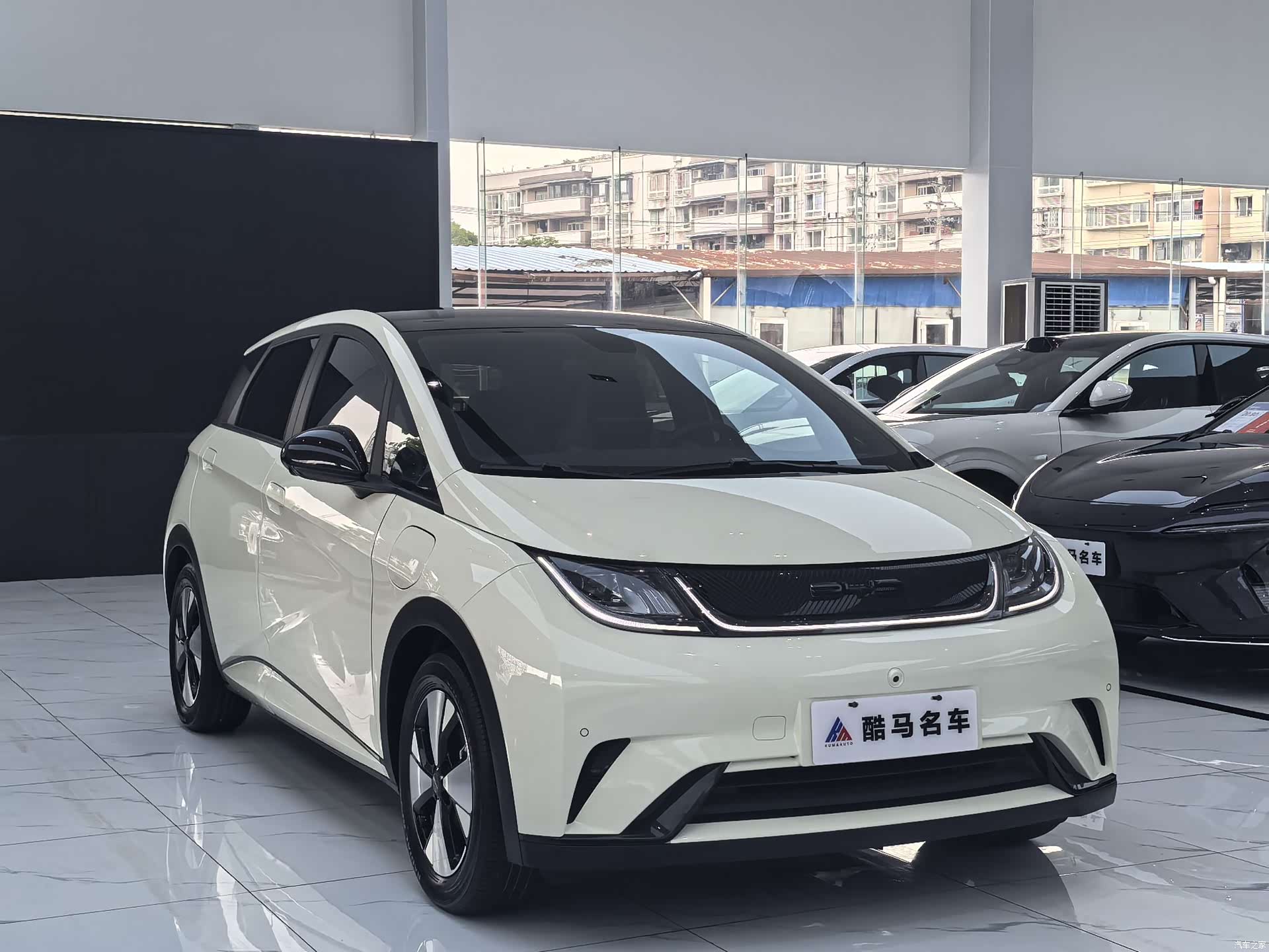 BYD Dolphin, 2023 3