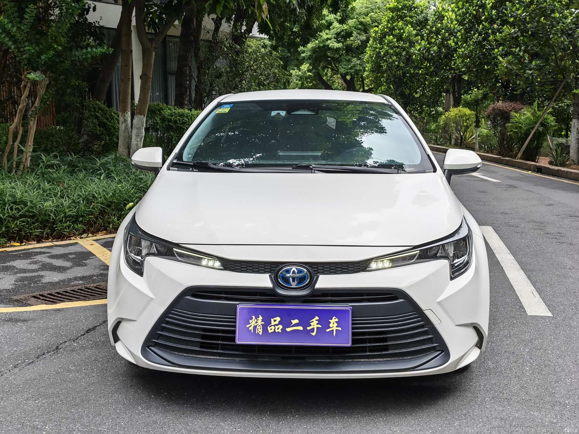 Toyota Levin, 2023 2